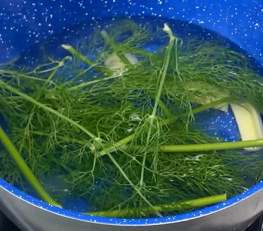 Fennel Frond Tea Recipe