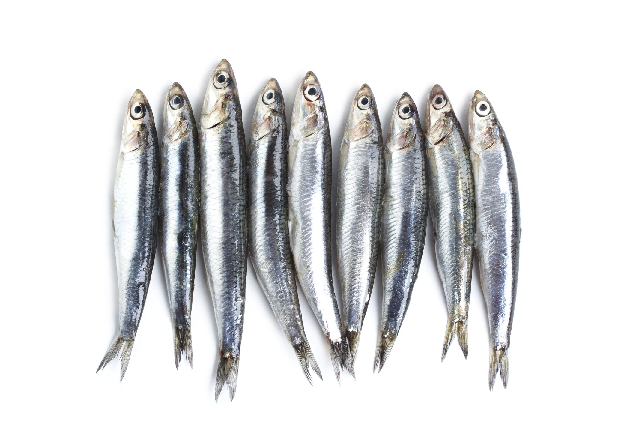 3 Major Differences Between Anchovies And Sardines?
