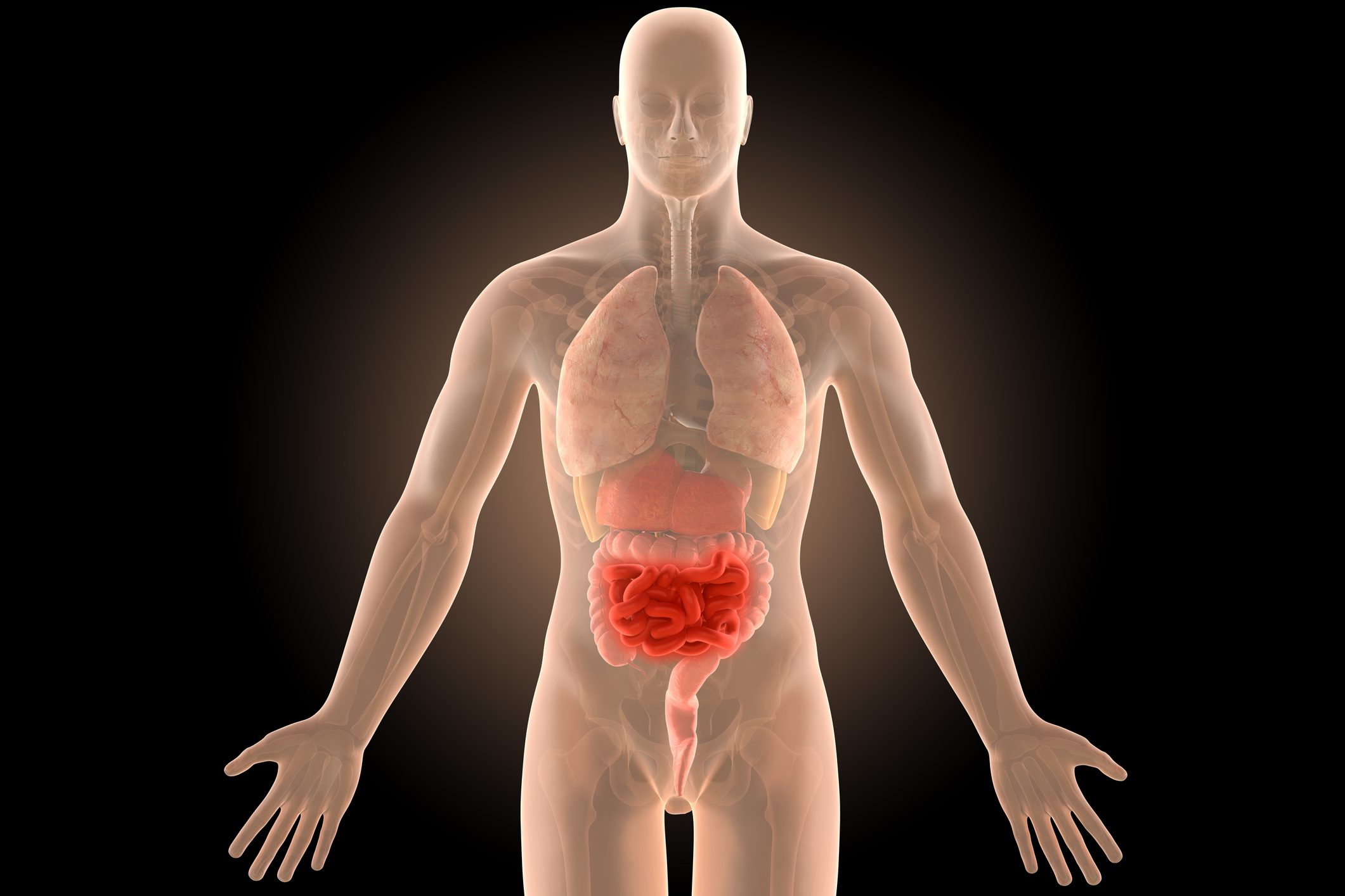 Cosa Mangiare Con Morbo Di Crohn
