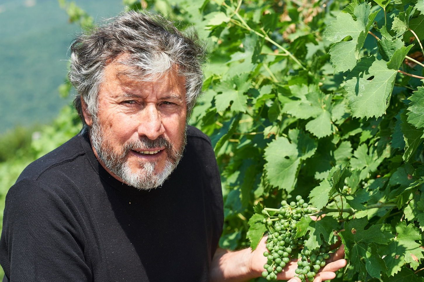 Alberto Malesani oggi vive per il vino: Il calcio non mi manca, ma mi  preoccupano le bollette