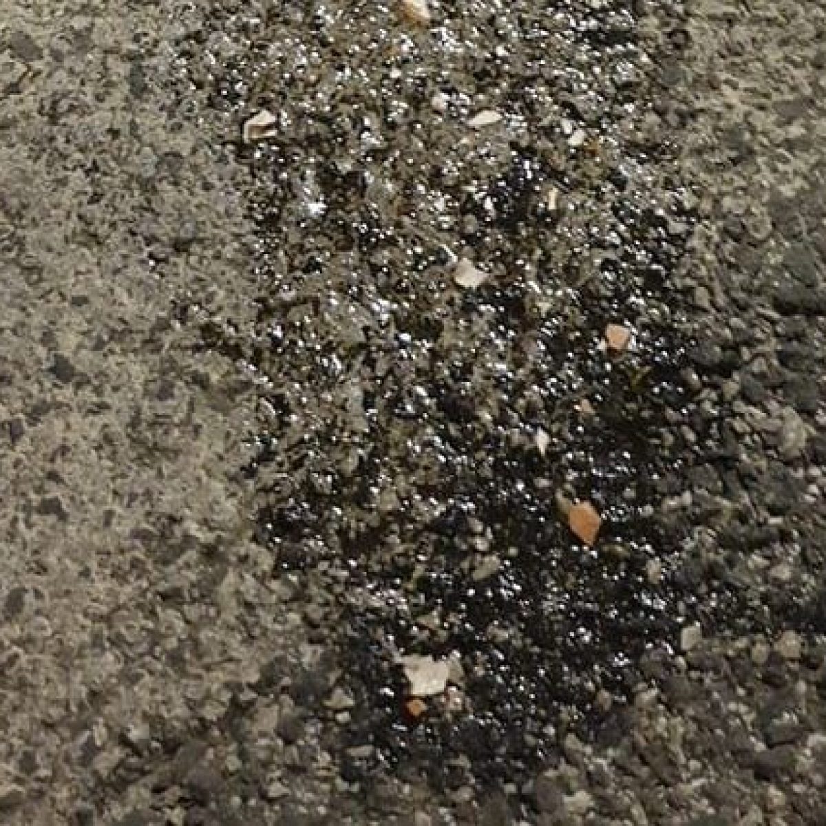 Uova Contro Ragazzo Autistico I Bulli Si Pentono E Chiedono Scusa Passeremo Del Tempo Con Lui