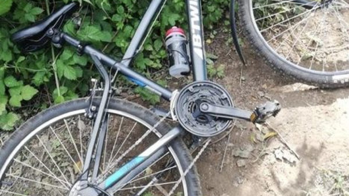 La bicicletta rubata (Facebook)