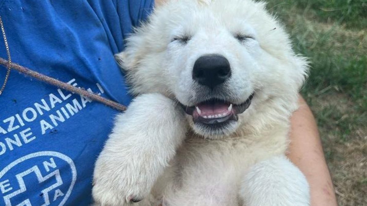 Uno dei cuccioli con una volontaria di Enpa