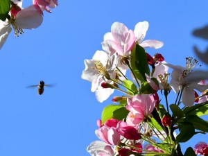 Meteo Milano weekend 17-19 marzo: sole e temperature in aumento