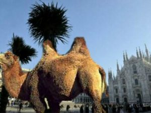 Palme in piazza Duomo (Fotomontaggio di @flabel82 su Twitter)