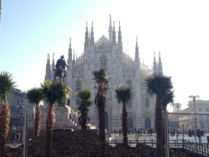 Piantate le prime palme in piazza Duomo: il nuovo look esotico prende forma