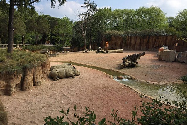 Panoramica del Parco Faunistico "Le Cornelle" (Facebook).