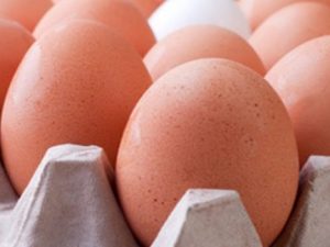 Milano, sequestrate omelette giapponesi surgelate: fatte con uova contaminate dal Fipronil