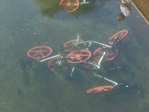 Le bici nel Naviglio a Buccinasco (Foto dal gruppo Facebook "Sei di Buccinasco se…")