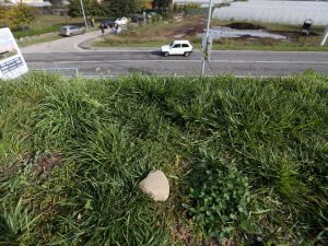 Il luogo da cui è partito il sasso che ha sfondato il parabrezza dell’auto (LaPresse)