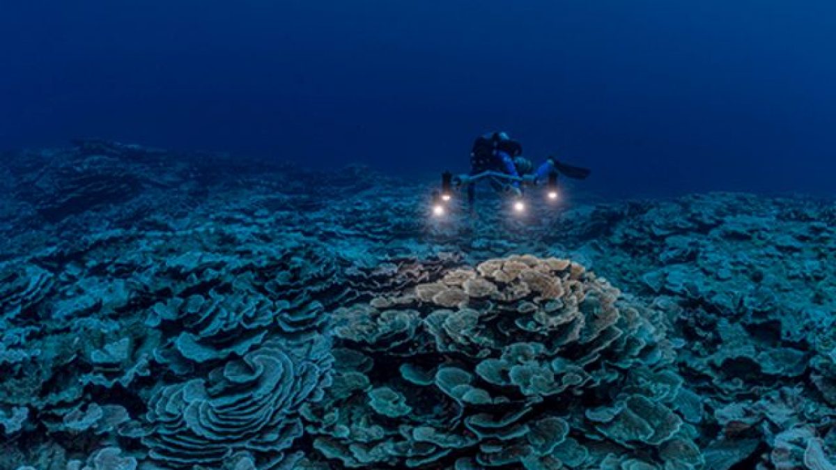 Credit: UNESCO/Alexis Rosenfeld/1 Ocean