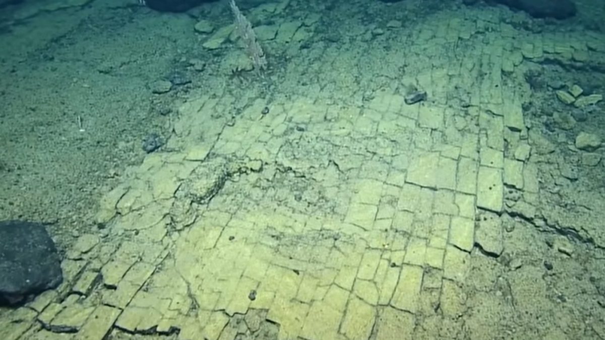 Credit: E/V Nautilus – youtube
