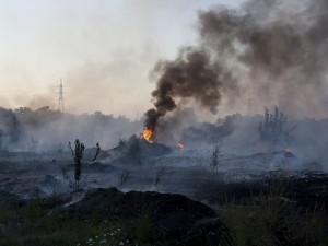 Terra dei Fuochi, nel 2016 roghi tossici in calo del 70%
