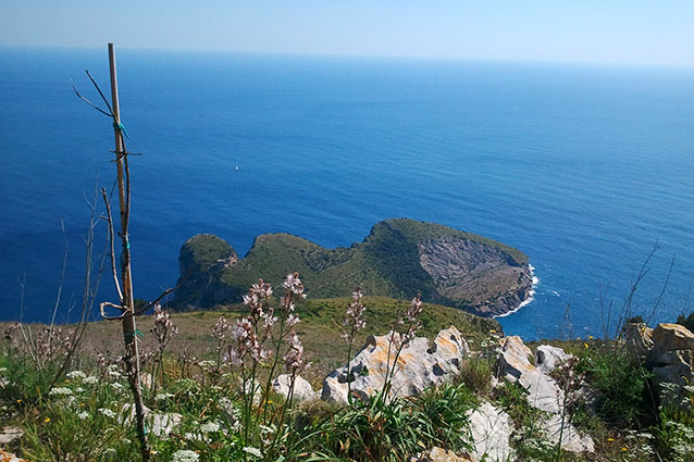Vista dal Monte S. Costanzo della Baia di Ieranto, Sorrento