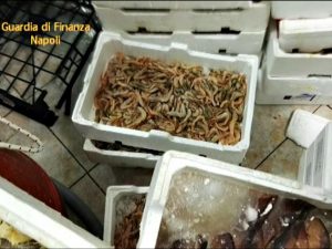 Pesce avariato nei frigoriferi, chiuso un noto ristorante di un albergo di Ischia