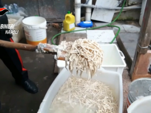 pasta-cinese