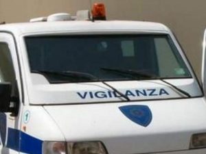 Chiodi sull'asfalto per rapinare il portavalori, ma il colpo fallisce