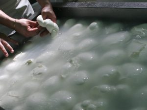 Dove mangiare la migliore mozzarella a Napoli