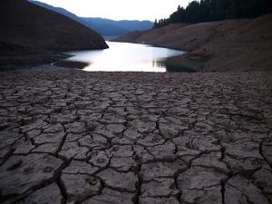 Siccità, la Regione Campania chiede lo stato di calamità naturale