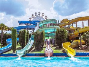 Blitz al Pareo Park, irregolarità nella vendita delle bevande: 60mila euro di multa