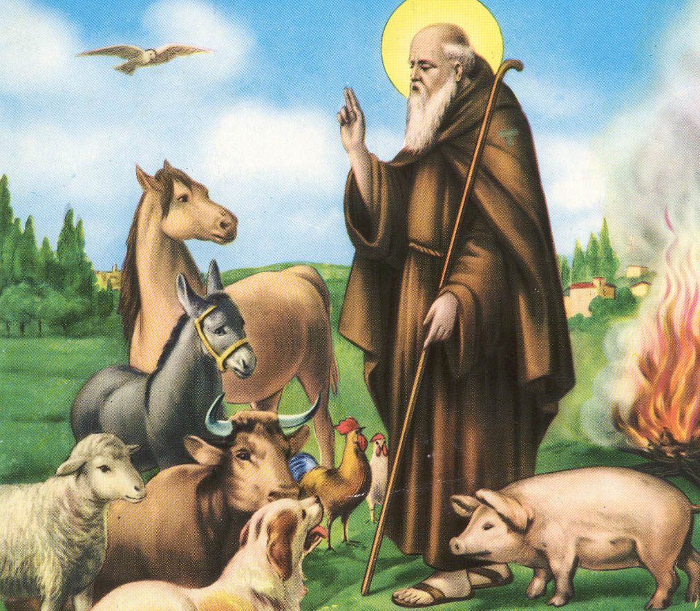 Sant'Antonio Abate, ritratto sempre col maialino al fianco