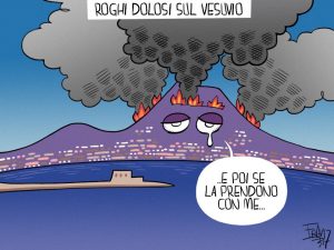 Fran De Martino per Fanpage.it