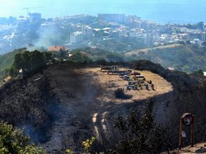 Incendi boschivi, la Regione Campania ha lanciato l'allarme solo 8 giorni fa