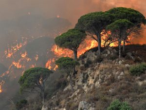 Incendi, in Campania monta la protesta civica: ma è polemica per le diverse manifestazioni