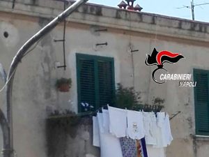 Pomigliano d'Arco, arrestato 48enne: coltivava cannabis sul balcone