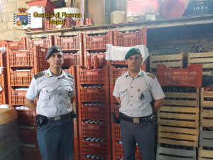 Salumi e vino pericolosi per la salute: scatta il maxi sequestro a Giugliano