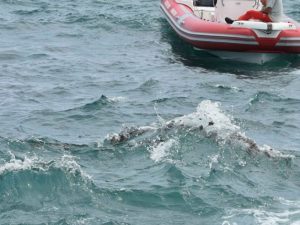 Foto di repertorio – Tragedia a Ischitella, una persona morta affogata