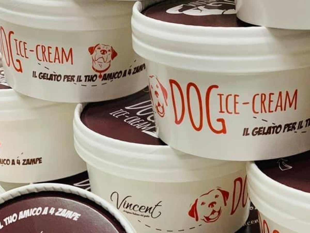 Un gelato per cani? Esiste ed è già in vendita è il Dog Ice Cream