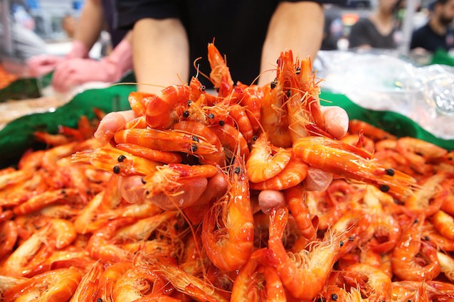 Oceani acidi causeranno la diminuzione del numero di crostacei