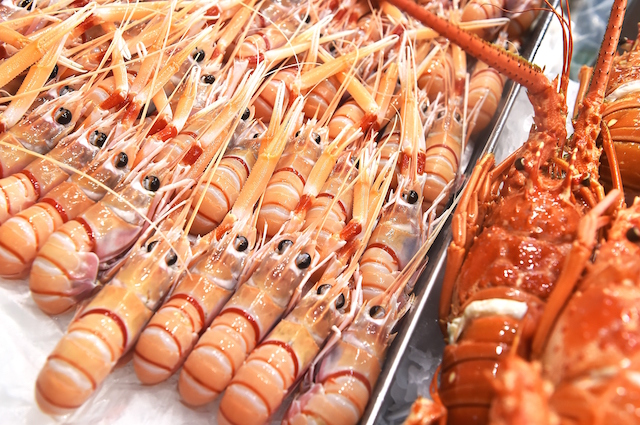 I crostacei hanno bisogno del loro guscio per salvarsi