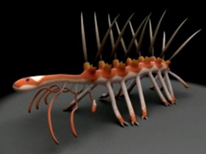 Identificato il progenitore comune di insetti, ragni e crostacei