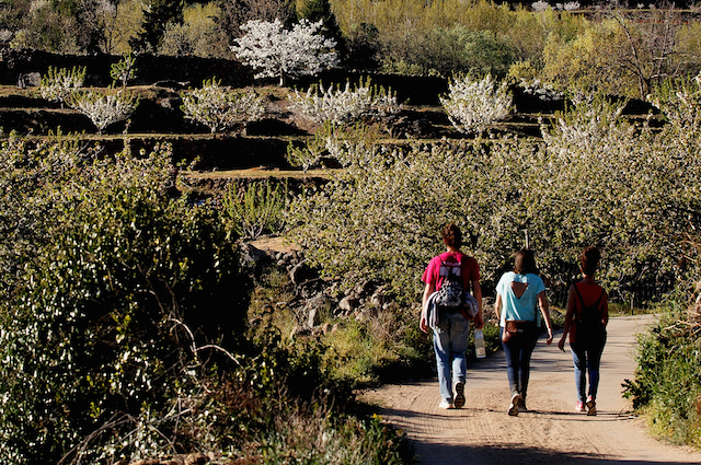Passeggiare in mezzo alla natura allontana i pensieri negativi