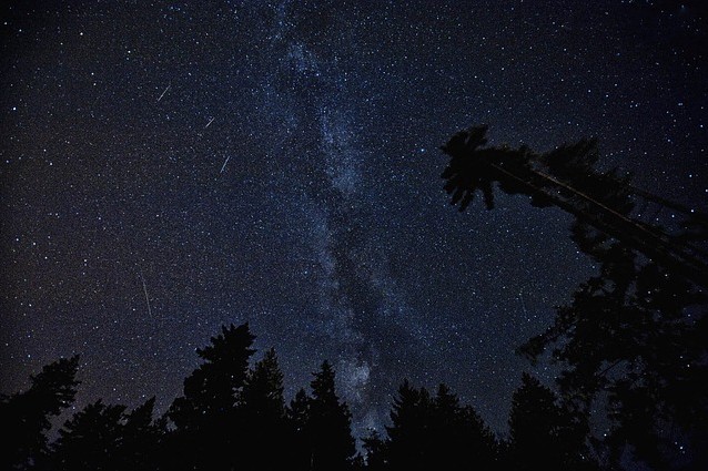 È tempo di Stelle cadenti