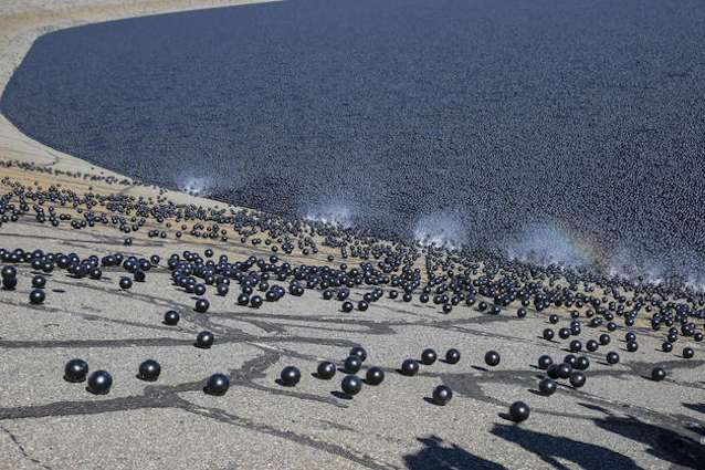Palline di plastica per evitare la siccità