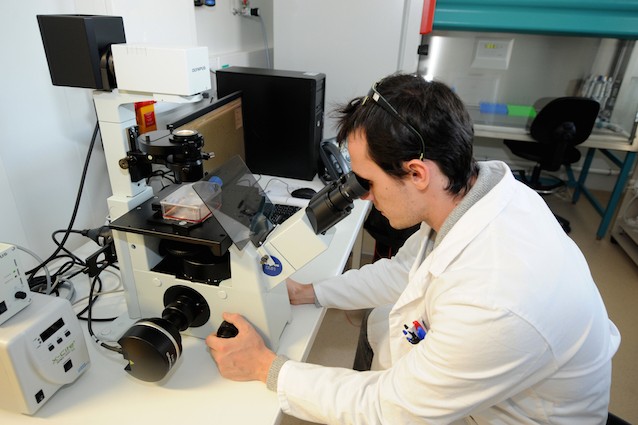 Tumori, scovato meccanismo molecolare che promuove la crescita di metastasi nel cervello Tumori, scovato meccanismo molecolare che promuove la crescita di metastasi nel cervello