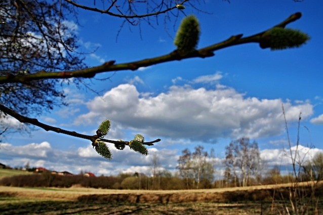 Primavera in anticipo