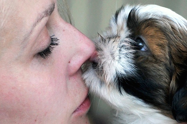 Cane maestri di vita