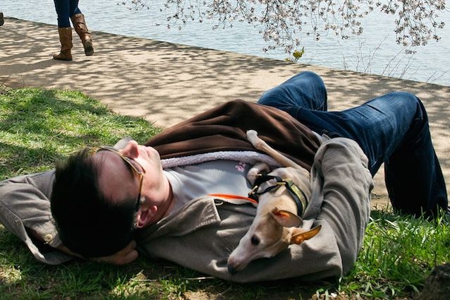 Dormire con il proprio cane o gatto fa bene o male?