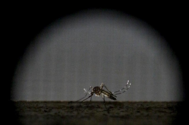 Cinque cose da sapere a proposito dello Zika virus
