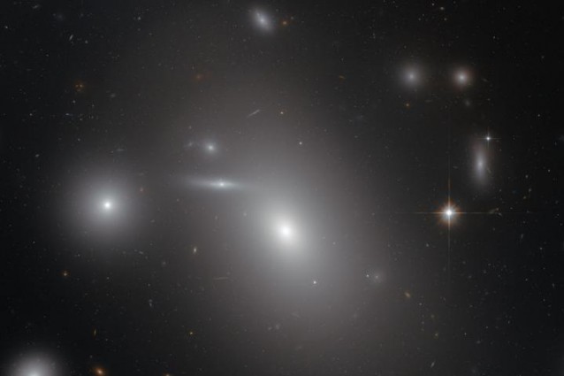 La galassia ellittica NGC 4889 (Credit: NASA/ESA)