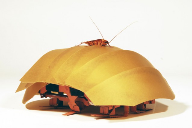 Il robot scarafaggio ((fonte: PolyPEDAL Lab, University of California at Berkeley)