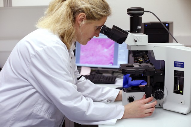 Eliminato l'HIV dal DNA dei linfociti T umani grazie all'editing genetico