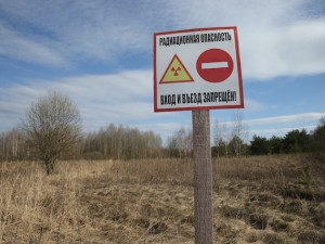 Chernobyl 30 anni dopo: restano le radiazioni, ma tornano gli animali