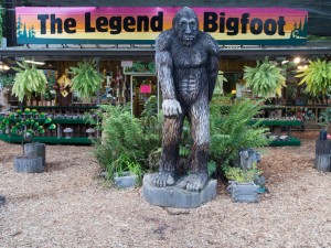bigfoot