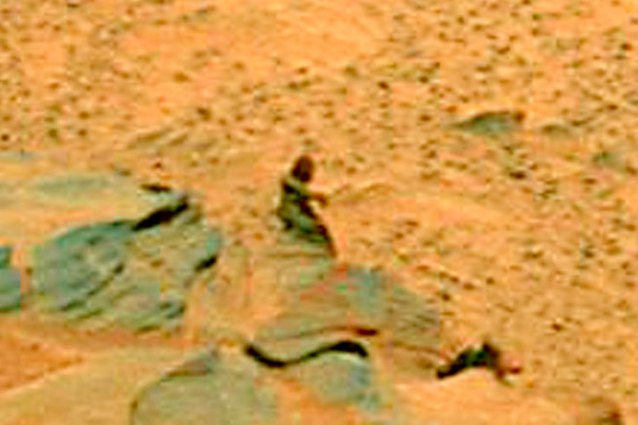 alieno nano
