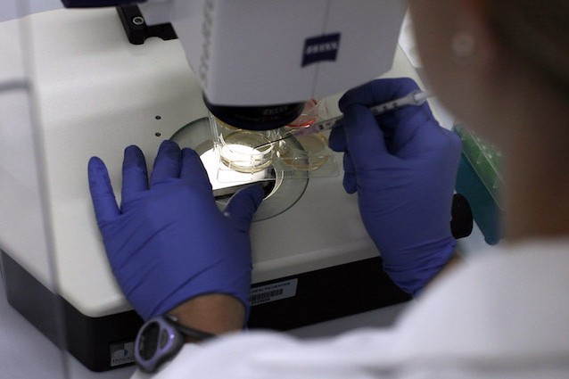 Italiani scoprono l’interruttore che spegne le difese anti cancro